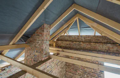 Attics and Crawl Spaces
